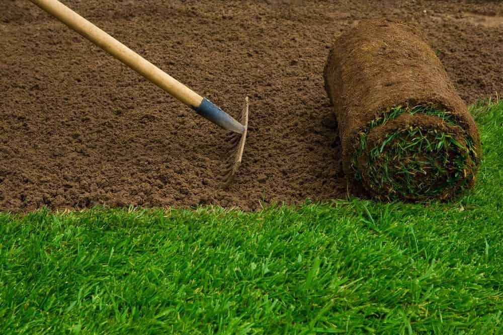 Sod image